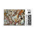 Seashell Stamp