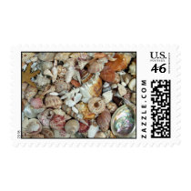 Seashell Stamp