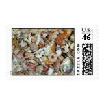 Seashell Stamp