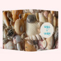 Seashell Template Album binders by millhill Seashell Template Album binders