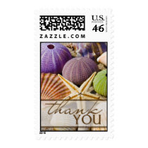 Seashell Thank You Postage
