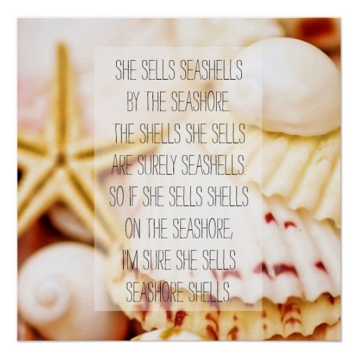 Seashell Tongue Twister Perfect Poster Zazzle