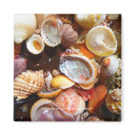 Seashell Treasure Trove - Magnet
