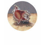 SeaShell