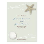 Seashell with Branches Postcards