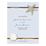 Seashell with Ribbon Postcard