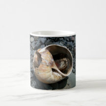 Seashell With Slug Mug
