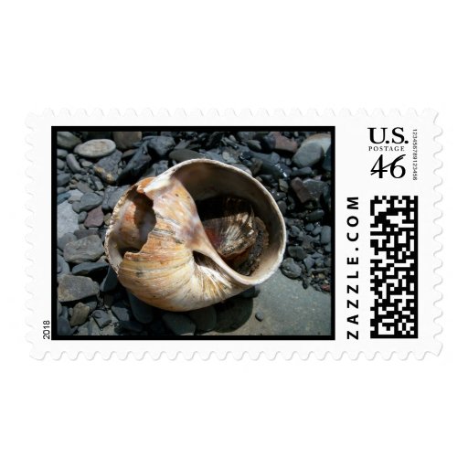 Seashell With Slug Stamp