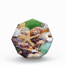 Seashells Acrylic Octagon Awards