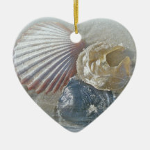 Seashells and Surf Ornaments