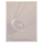 Seashells Beach Personalized Letterhead