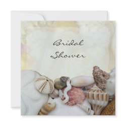Seashells Bridal Shower Invitations invitation
