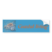 seashells bumper sticker