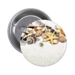 Seashells Button
