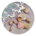 SEASHELLS by the SEA by SHARON SHARPE stickers by sharonsharpe SEASHELLS by the SEA by SHARON SHARPE stickers