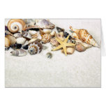 Seashells Card