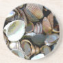 Seashells Drink Coasters Seashells Drink Coasters