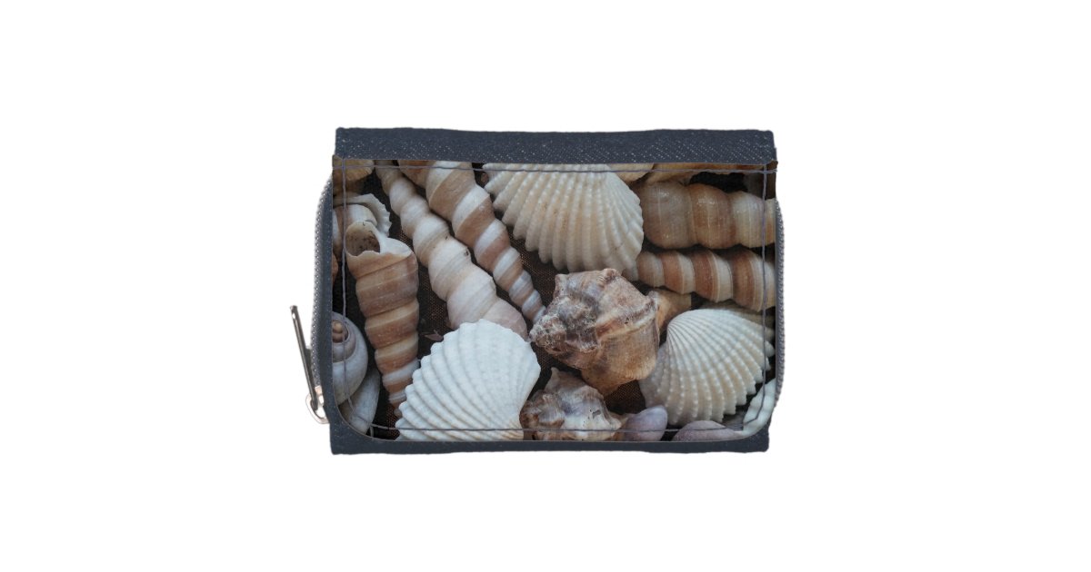 Seashells collection, denim wallet, Summer Wallets Zazzle