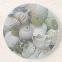 Seashells From Alaska Beverage Coasters