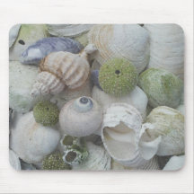 Seashells From Alaska Mouse Pad