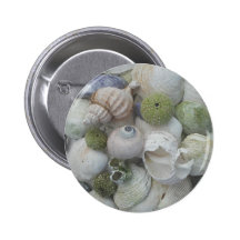 Seashells From Alaska Pin