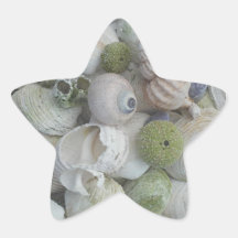 Seashells From Alaska Star Stickers