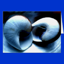 Seashells cards