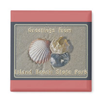 Seashells Greetings From IBSP Seaside Park NJ Fridge Magnet