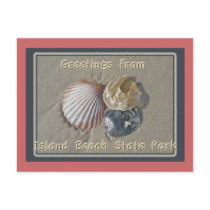 Seashells Greetings From IBSP Seaside Park NJ Postcard