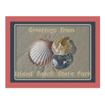 Seashells Greetings From IBSP Seaside Park NJ Postcard
