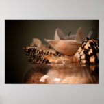 Seashells in a Jar Poster
