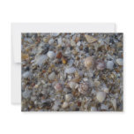sea, beach, shore, sand, pebbles, snail, shell, - party travel