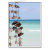 seashells, seashell, mexico, caribbeans,