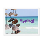 seashells, seashell, mexico, caribbeans,