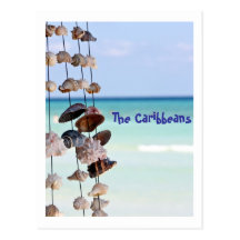 seashells on sea background postcards