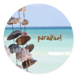 seashells, seashell, mexico, caribbeans,