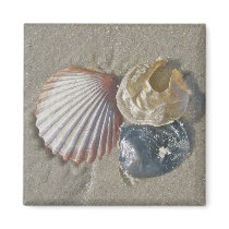 Seashells on the Beach Coordinating Items Refrigerator Magnets