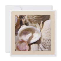 Seashells on the beach announcements