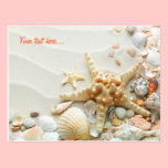 Seashells on the beach postcard postcards