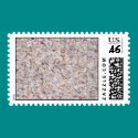 Seashells postage by jamiejean Seashells postage
