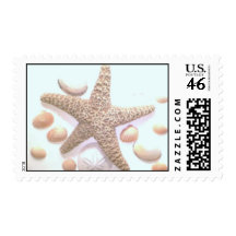 Seashells Postage Stamps