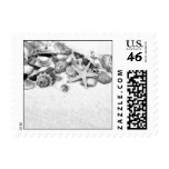 Seashells Postage Stamps
