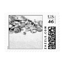 Seashells Postage Stamps