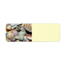 seashells return address labels