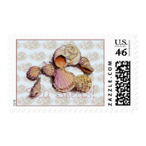 SEASHELLS STAMP by SHARON SHARPE