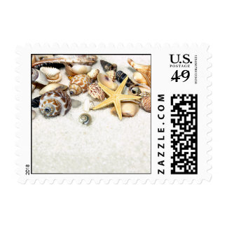 Seashell Stamps, Custom Seashell Postage