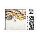 Seashells Stamps