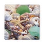 Seashells Starfish &amp; Beach Glass Magnet