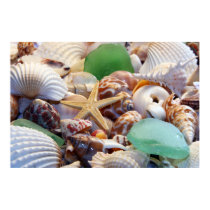 Seashells, Starfish & Beach Glass Poster