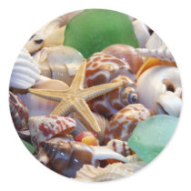 Seashells Starfish & Beach Glass Stickers